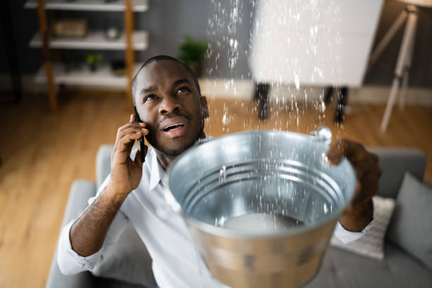 Best Commercial water damage restoration  in Buchanan, MI