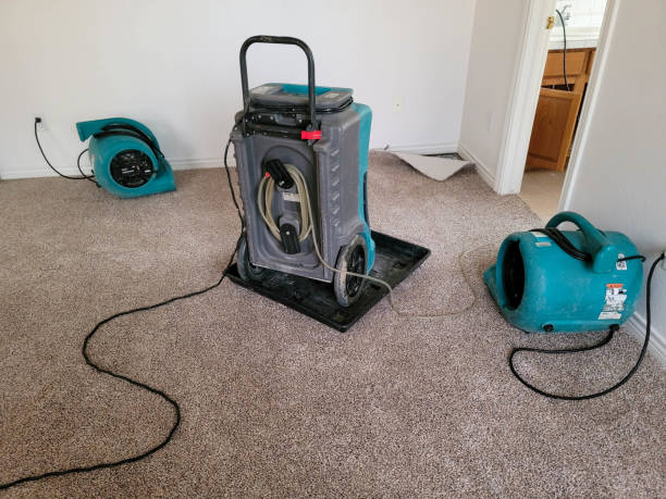 Best Flood restoration services  in Buchanan, MI