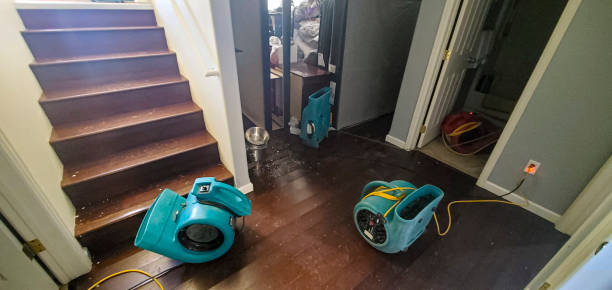  Buchanan, MI Water damage restoration Pros