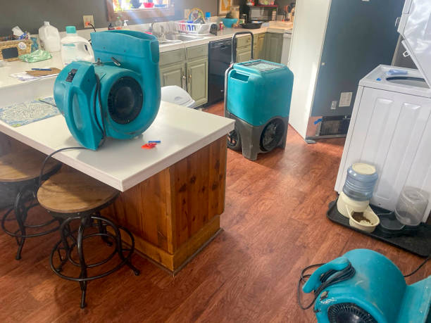 Best 24-hour water damage restoration  in Buchanan, MI
