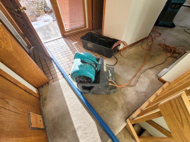 Best Water damage restoration near me  in Buchanan, MI