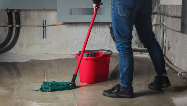 Best Flooded house restoration  in Buchanan, MI