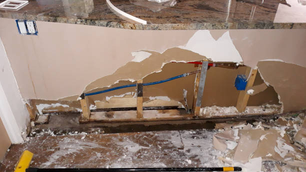 Best Water damage restoration near me  in Buchanan, MI