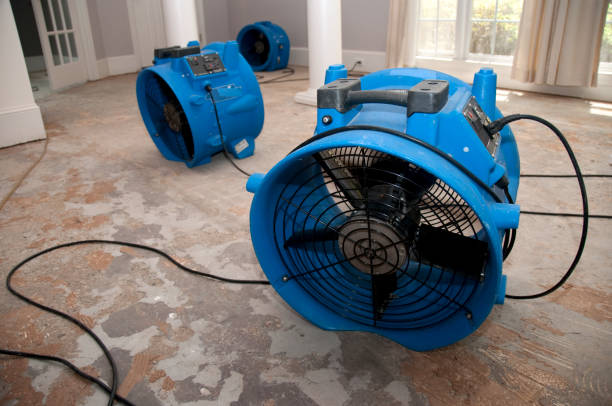 Best Mold removal after water damage  in Buchanan, MI