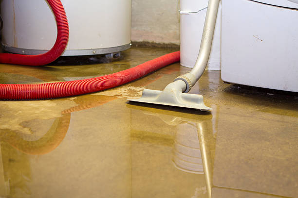 Best 24-hour water damage restoration  in Buchanan, MI