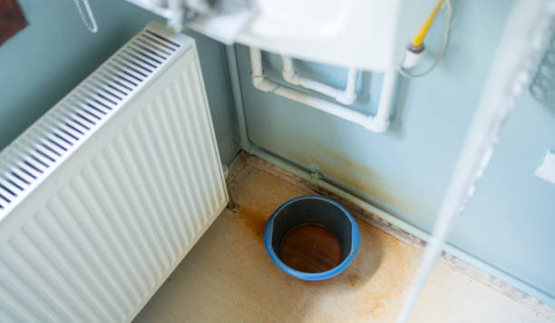 Best 24/7 water damage repair  in Buchanan, MI